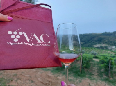 S. Nicola Arcella | Degustazione di vini VAC (Vignaioli Alta Calabria)